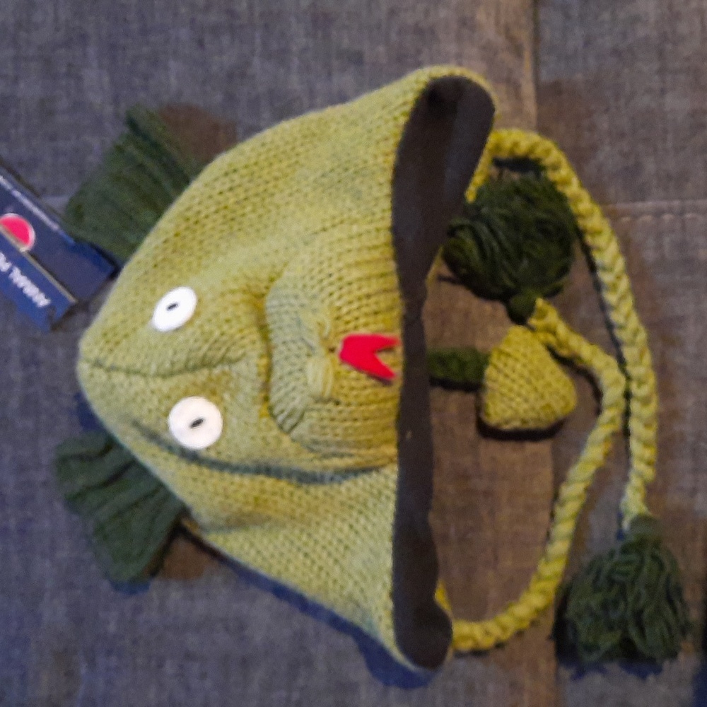 Salamander Wool Knit Hat Ear Flap Braided Ties Youth Teen Tween NWT Cute Warm
